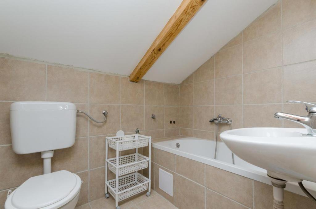 Apartmani Tijana 诺维·维诺多尔斯基 外观 照片